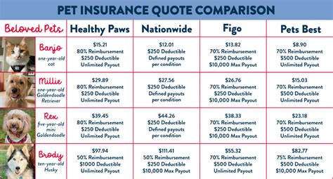 dog insurance quotes comparison canada